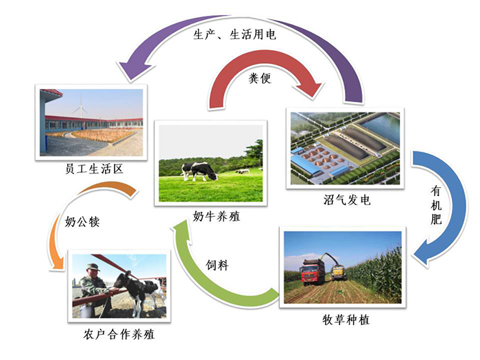 牧場生態流程圖.jpg